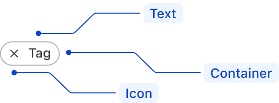 Tag anatomy